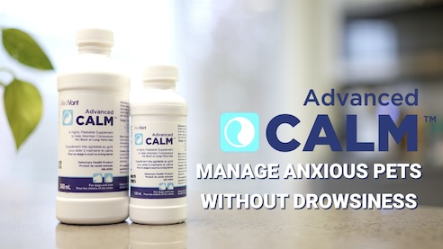 Advanced CALM™ Video Thumbnail