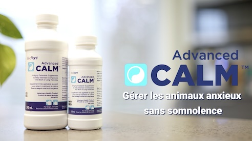 Vignette de la vidéo Advanced CALM™